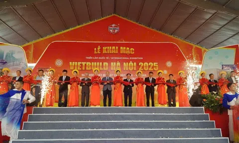 Khai mạc VietBuild Hanoi 2025: Điểm hẹn quốc tế của ngành xây dựng và bất động sản