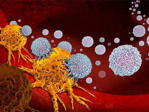 Phát hiện quan trọng mở ra hy vọng chữa ung thư tuyến tụy