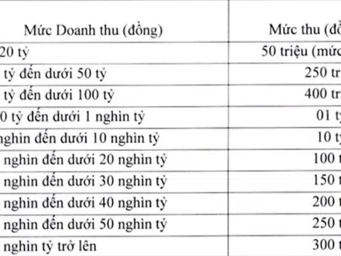 Phí cung cấp dịch vụ viễn thông lên tới 300 tỷ với doanh nghiệp có doanh thu 50 nghìn tỷ trở lên