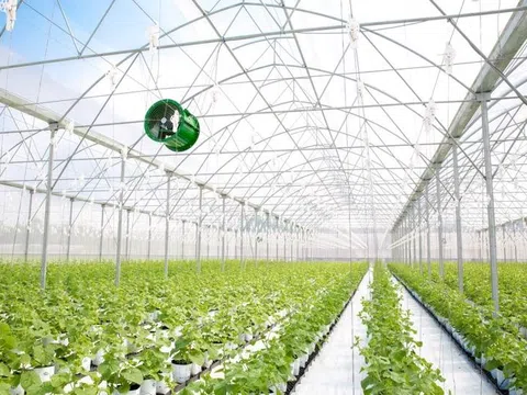 Hà Nội đẩy mạnh mô hình ứng dụng công nghệ cao trong nông nghiệp