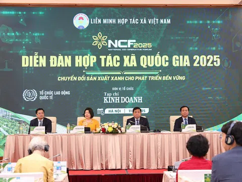 Thúc đẩy chuyển đổi sản xuất xanh cho phát triển bền vững