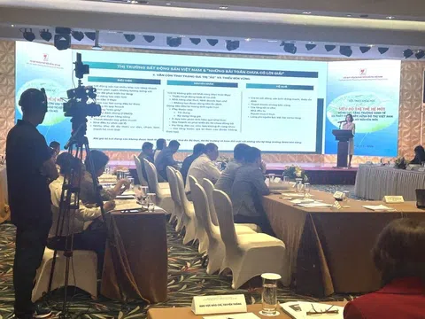 Định hình siêu đô thị thế hệ mới: Đòn bẩy đưa kinh tế Việt Nam bứt phá trong kỷ nguyên mới