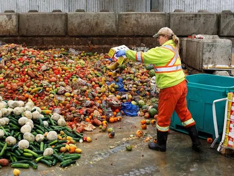 FreshTech: Phát minh đặc biệt giúp bảo quản thực phẩm tươi