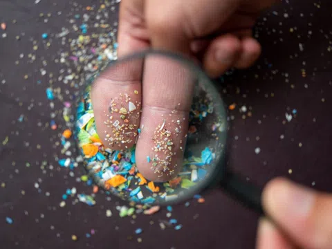 Phát hiện số lượng lớn vi hạt nhựa trong bia và nước đóng chai