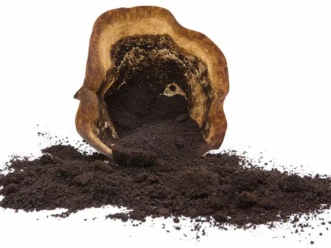 Phát triển thành công loại pin xe điện từ bã cà phê