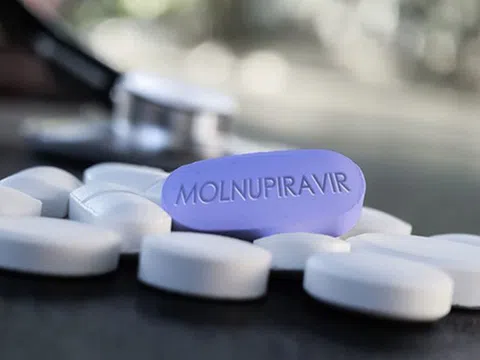 Khi nào Việt Nam sản xuất thuốc Molnupiravir?