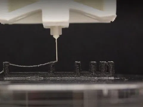 Công nghệ mới biến vi khuẩn E.coli thành những công trình 'bất tử'