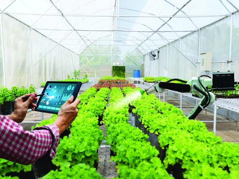 Chuyển đổi số nông nghiệp: Cơ hội mới cho nông dân
