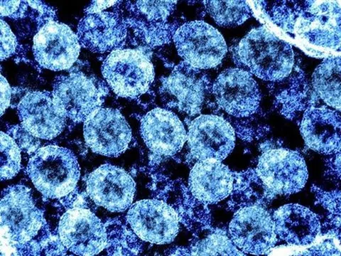 Trung Quốc phát hiện kháng thể có thể chống lại mọi biến thể SARS-CoV-2