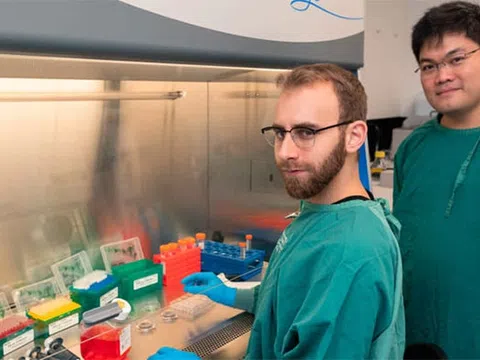 Australia phát triển thành công chip chứa nơ ron thần kinh sống