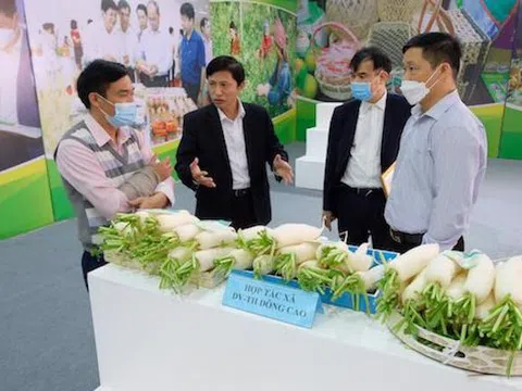 Giải pháp kép giúp nâng giá trị sản phẩm OCOP Hà Nội