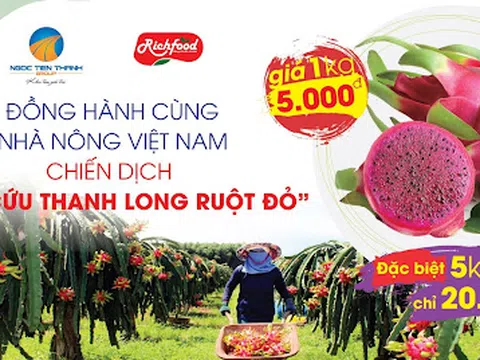 CTCP Ngọc Tiến Thành cùng Rich Food chung tay giúp nông dân giải cứu thanh long ruột đỏ