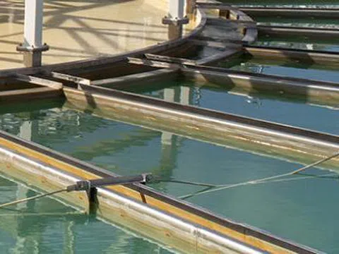 Hệ thống quản lý nước ở Austin giúp tiết kiệm 3/4 mức sử dụng