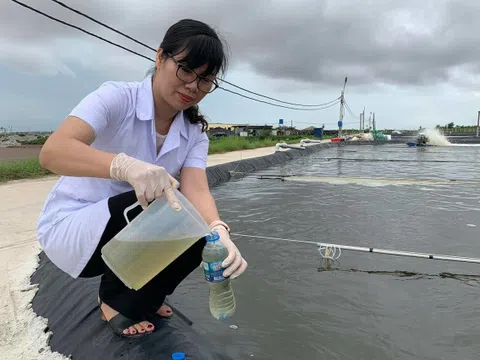 Việt Nam phân lập thành công chủng vi khuẩn tía quang hợp bản địa