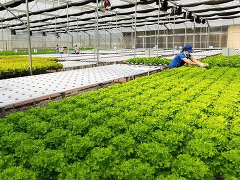 Khoa học công nghệ thúc đẩy ngành nông nghiệp phát triển